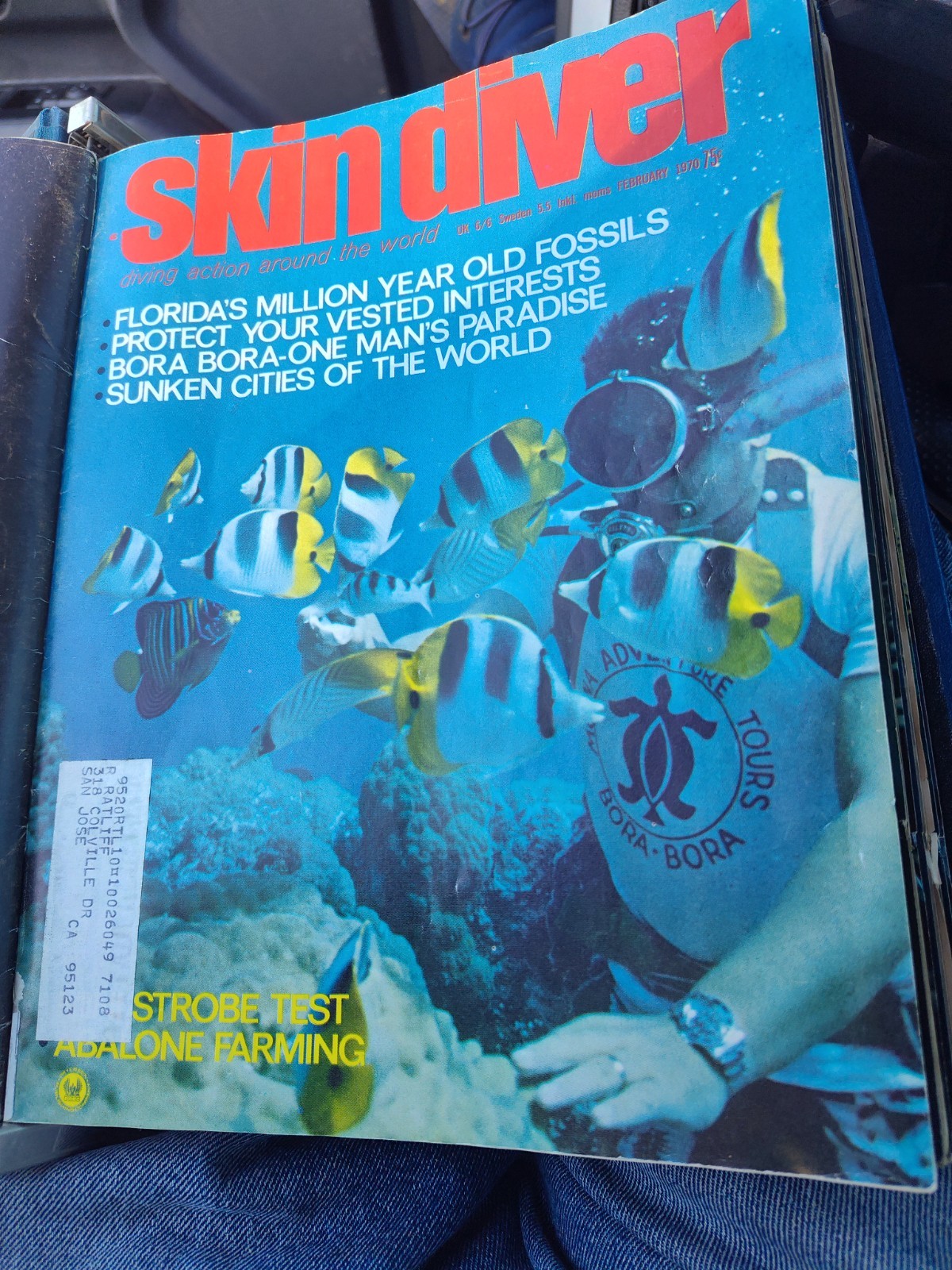 1970 Complete Set/Year of 12 Skin Diver Magazine In Official Binder Nice!!!