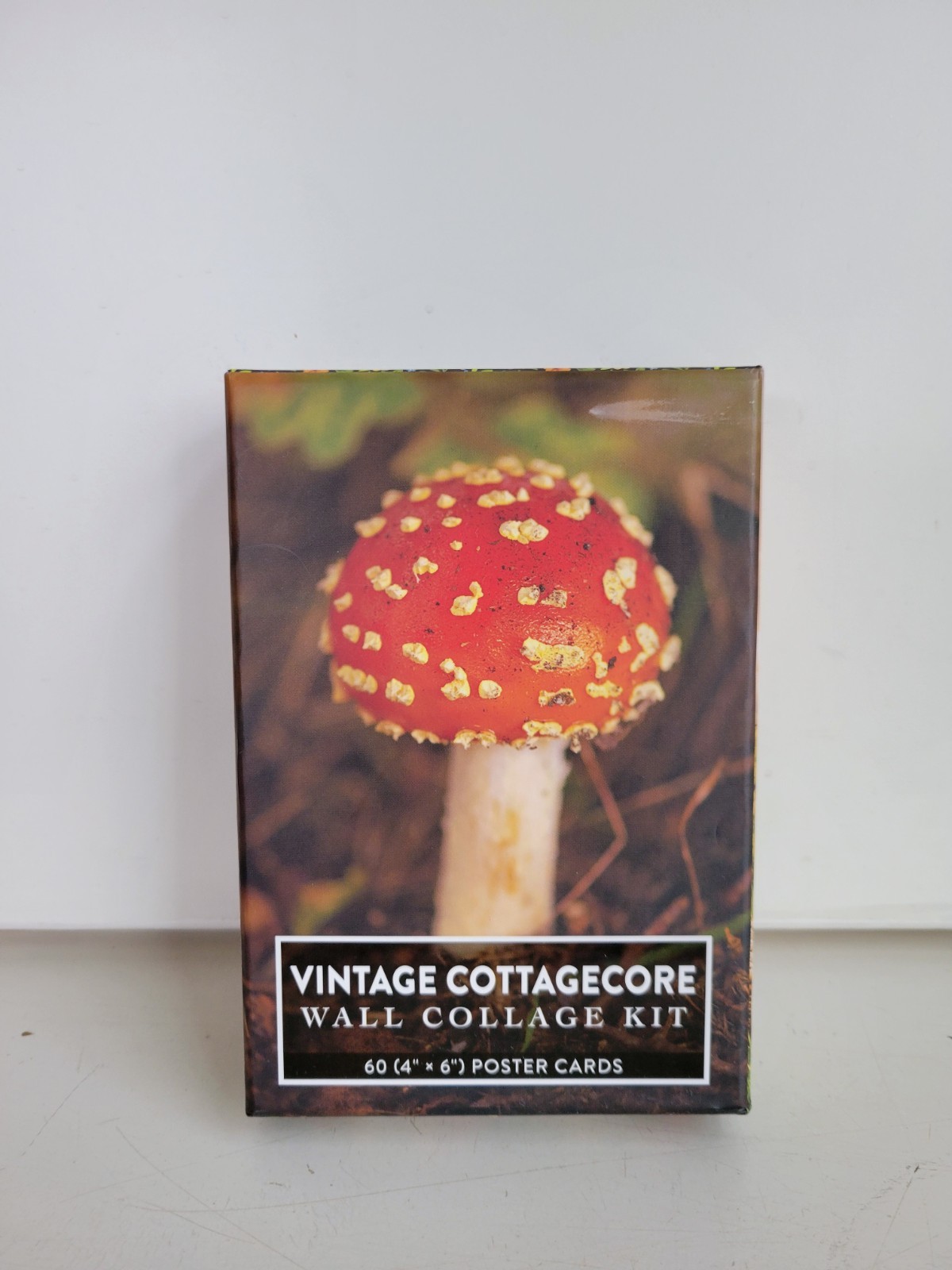 Vintage Cottagecore Wall Collage Kit: 60 (4&Prime; x 6&Prime;) Poster Cards by Adams Media