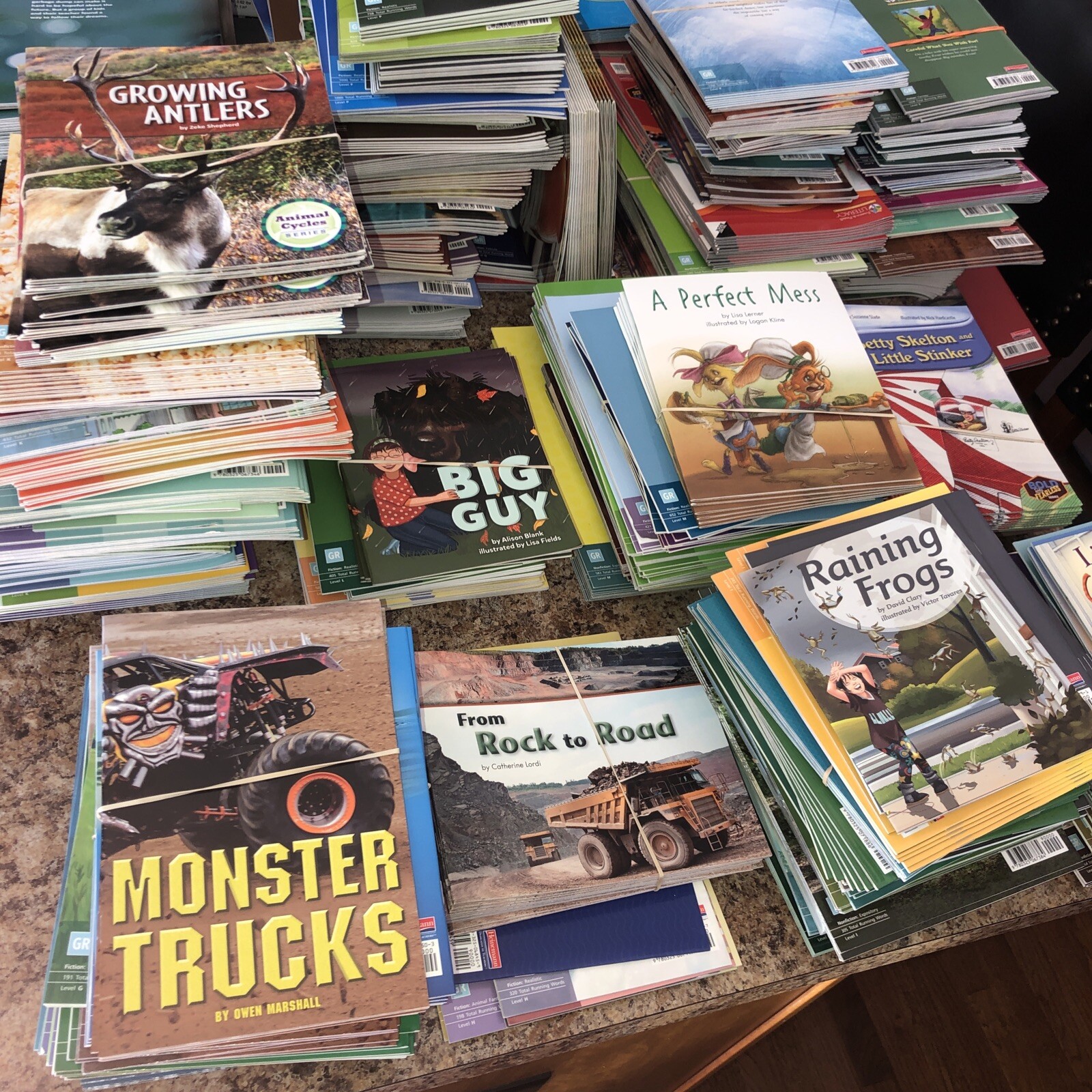 NEW! Children&rsquo;s Reading Books 15 for $25 You pick Grade 1-2-3-4 FREE SHIP