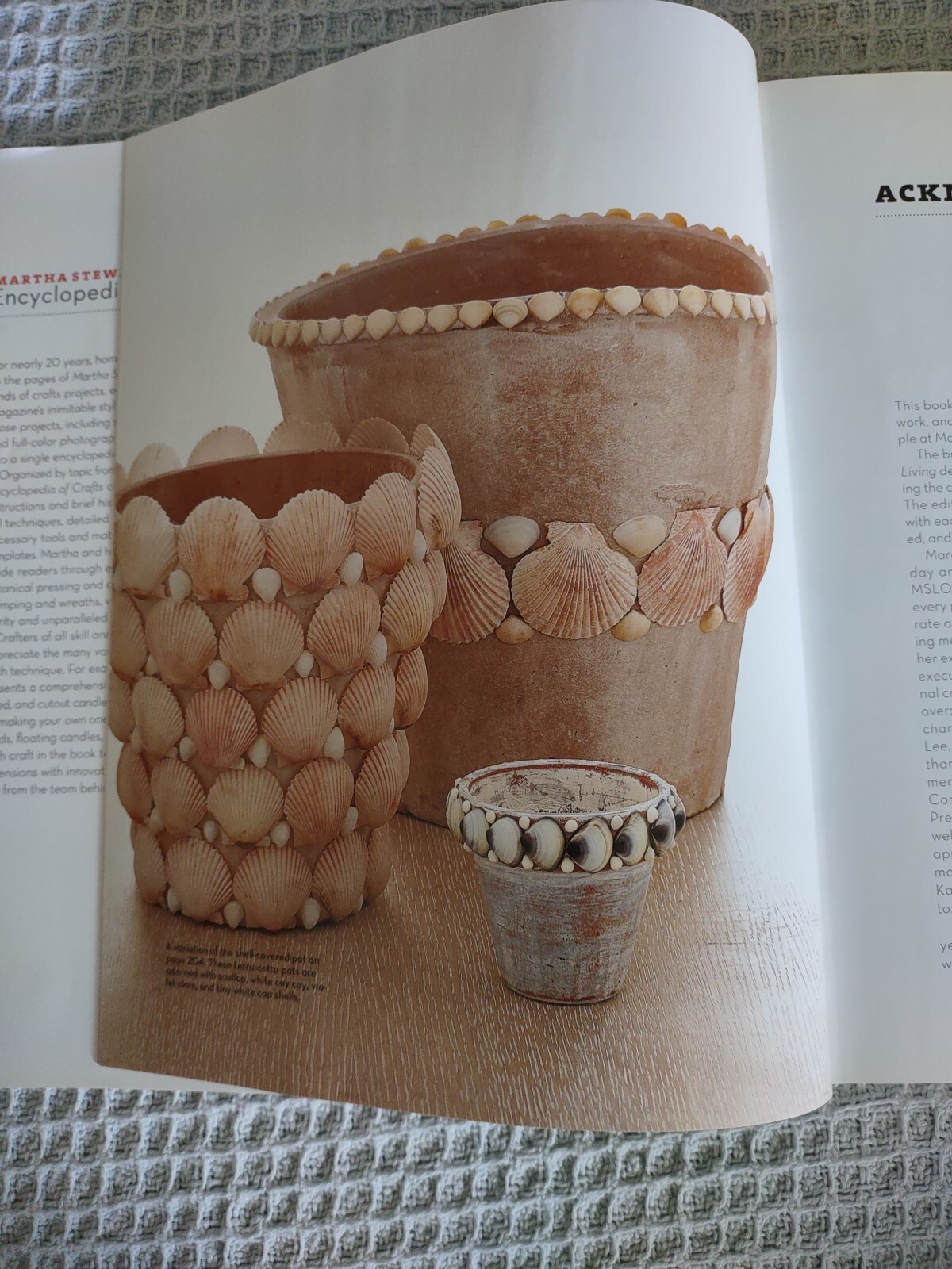 2009 First Edition Hardcover Book: Martha Stewart&rsquo;s Encyclopedia Of Crafts