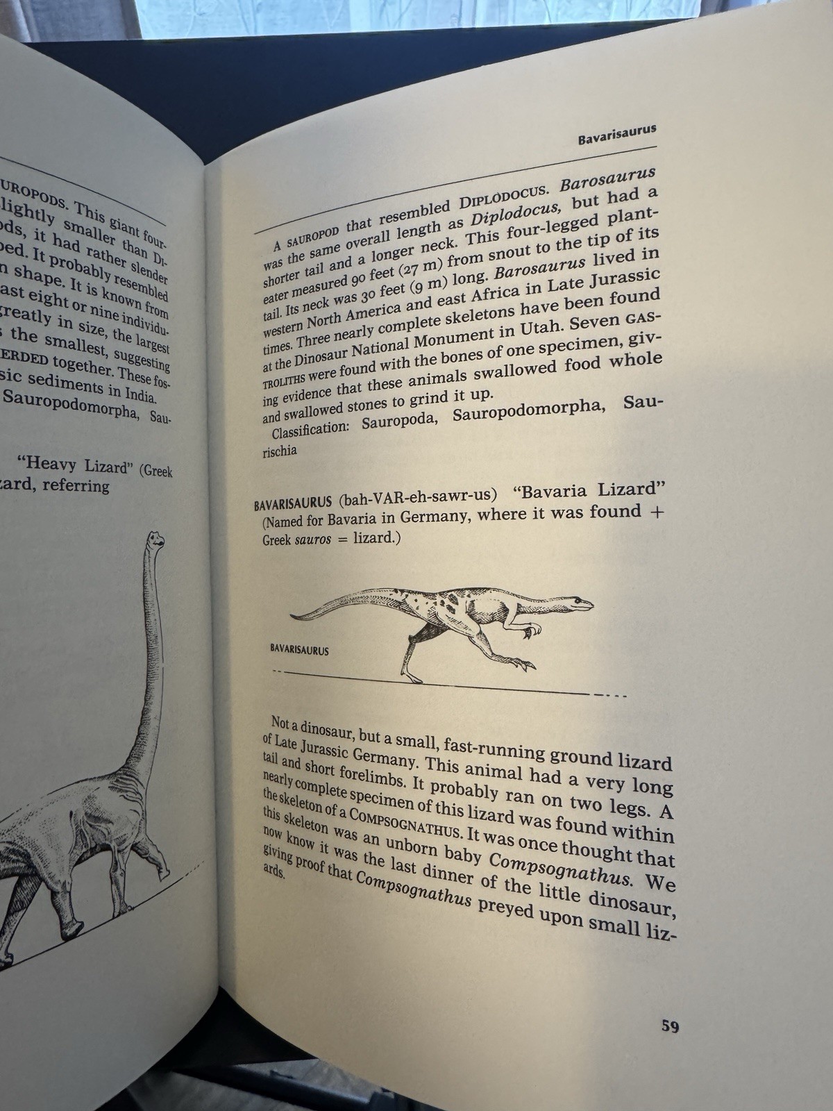 The Illustrated Dinosaur Dictionary by Helen Roney Sattler