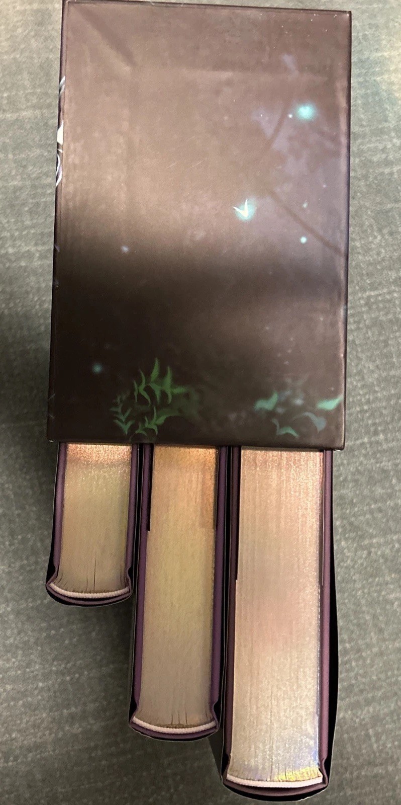 FaeCrate Spider&rsquo;s Mate Trilogy Signed Gilded Edges Embossed Slip Case