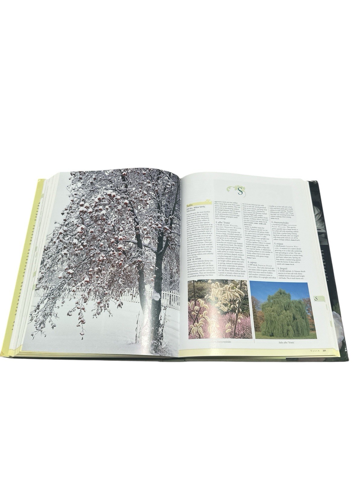 Taylor&rsquo;s Encyclopedia of Garden Plants (Taylor&rsquo;s Guides) by Frances Tenenbaum