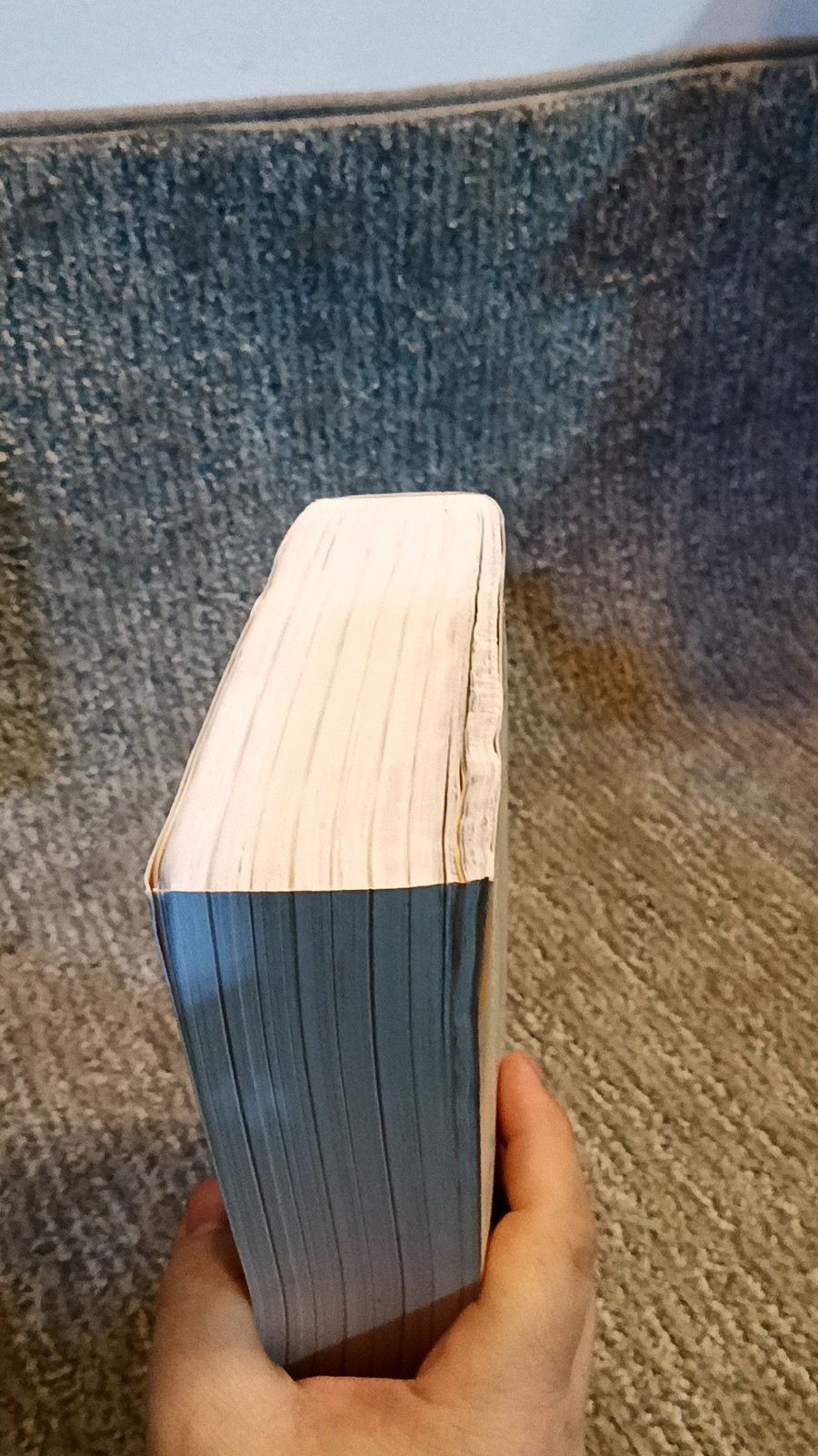 Catholic Women&rsquo;s Bible Bricker New American Bible Softcover (2012) [VG]