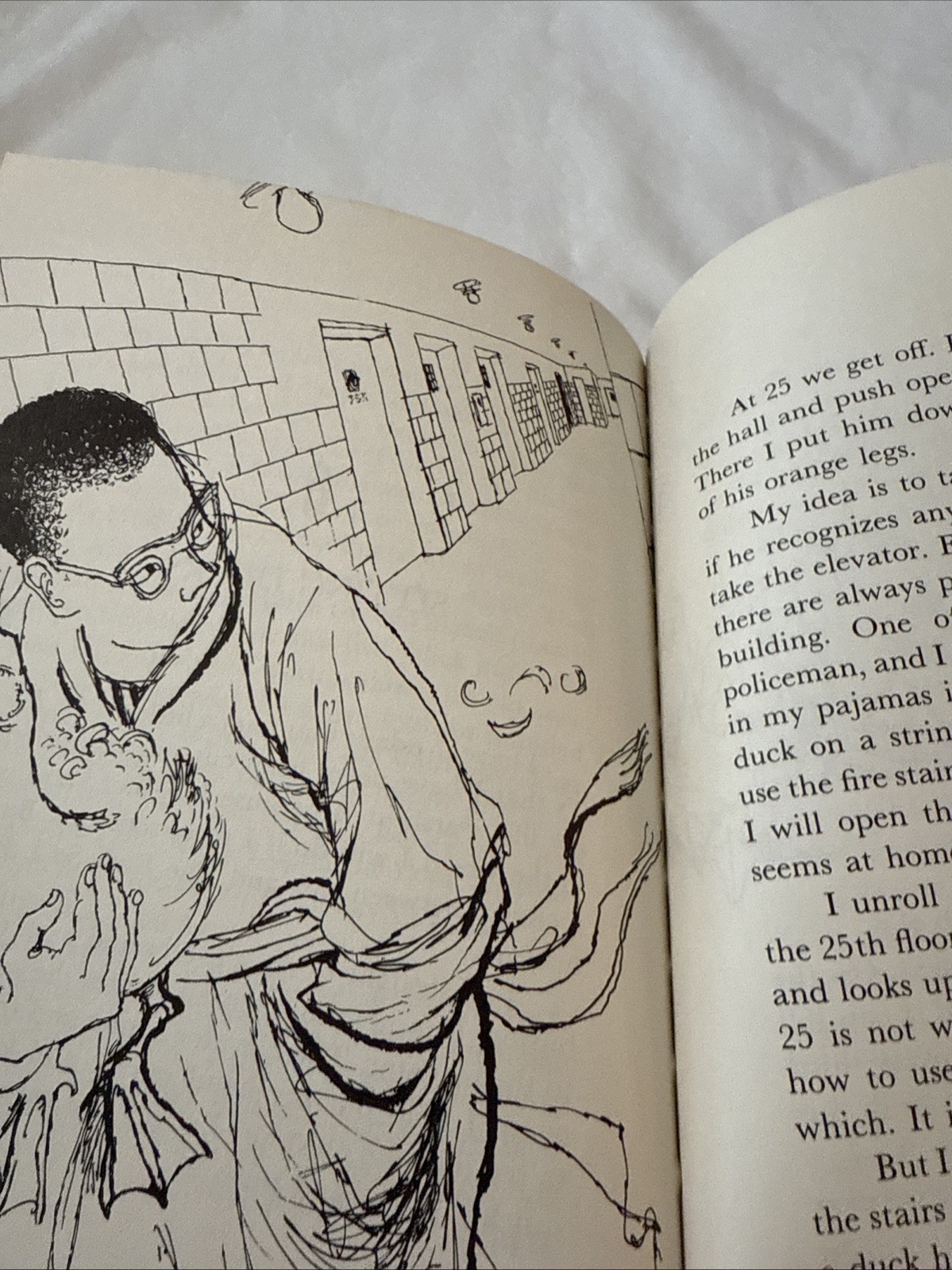 1973 « The Case Of The Elevator Duck » by Polly Berrien Berends Hardcover Book