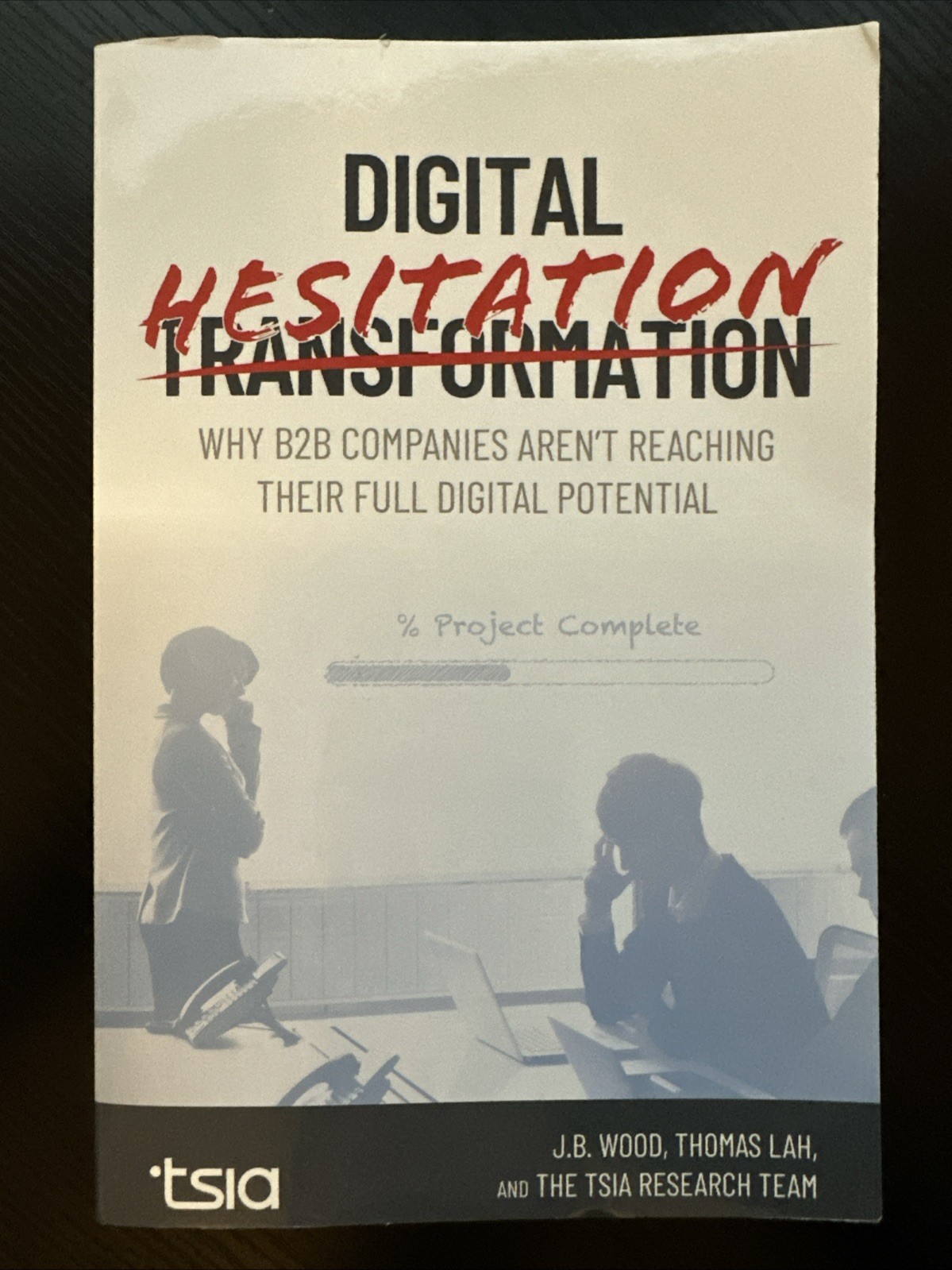 Digital Hesitation : Why B2B Companies Aren&rsquo;t Reaching Their Full Digital…