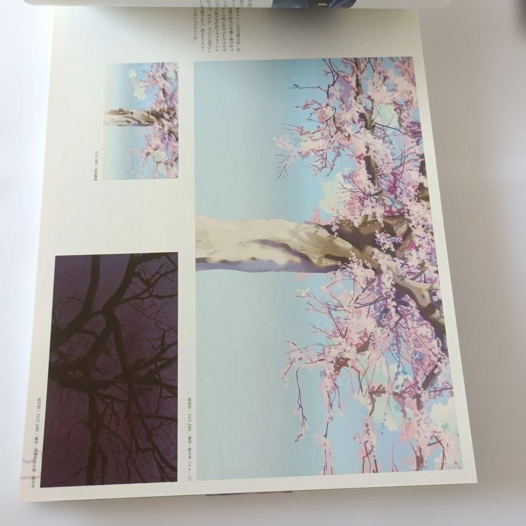 Makoto Shinkai Art Collection Landscape Illustrations 111 Pages Japan