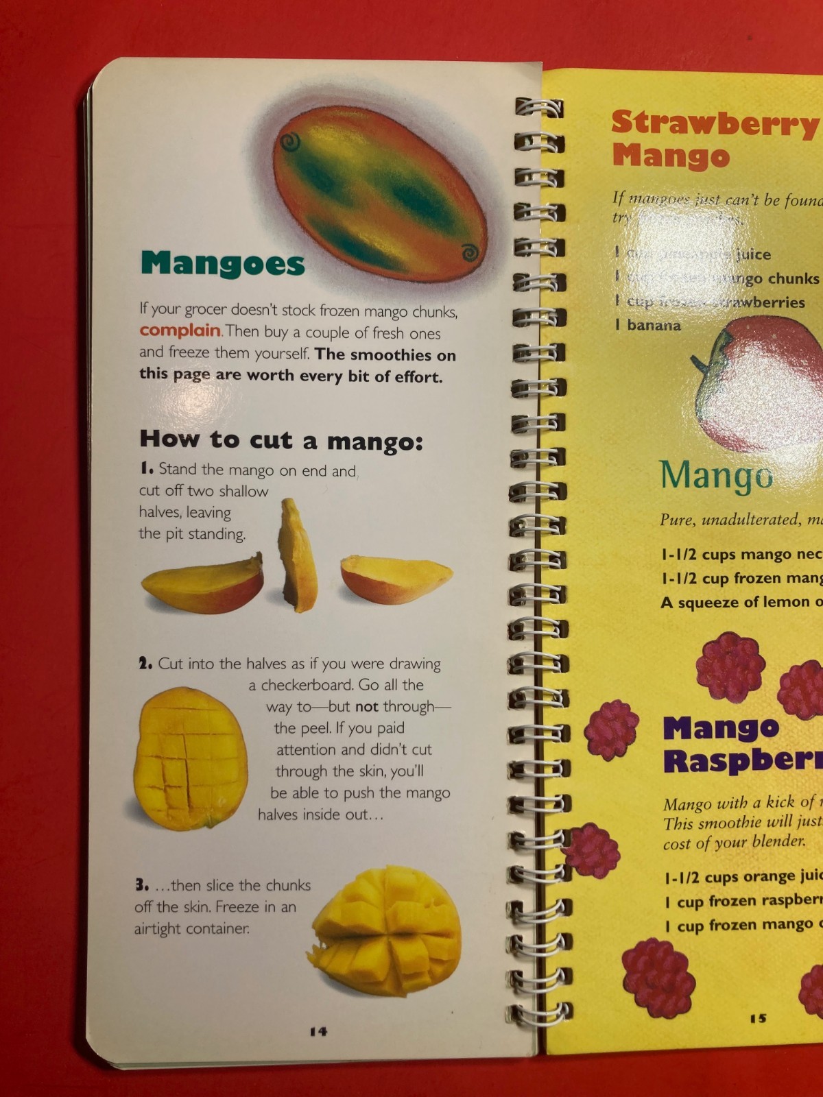 Smoothies (Klutz) – BEVERAGE RECIPES 16 PAGES Johnson, Anne Akers –