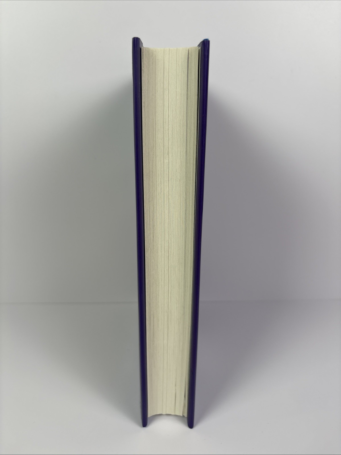 Tourist Season (The Seasons of Carnage Trilogy) – hardcover Weaver, Brynne, NEW