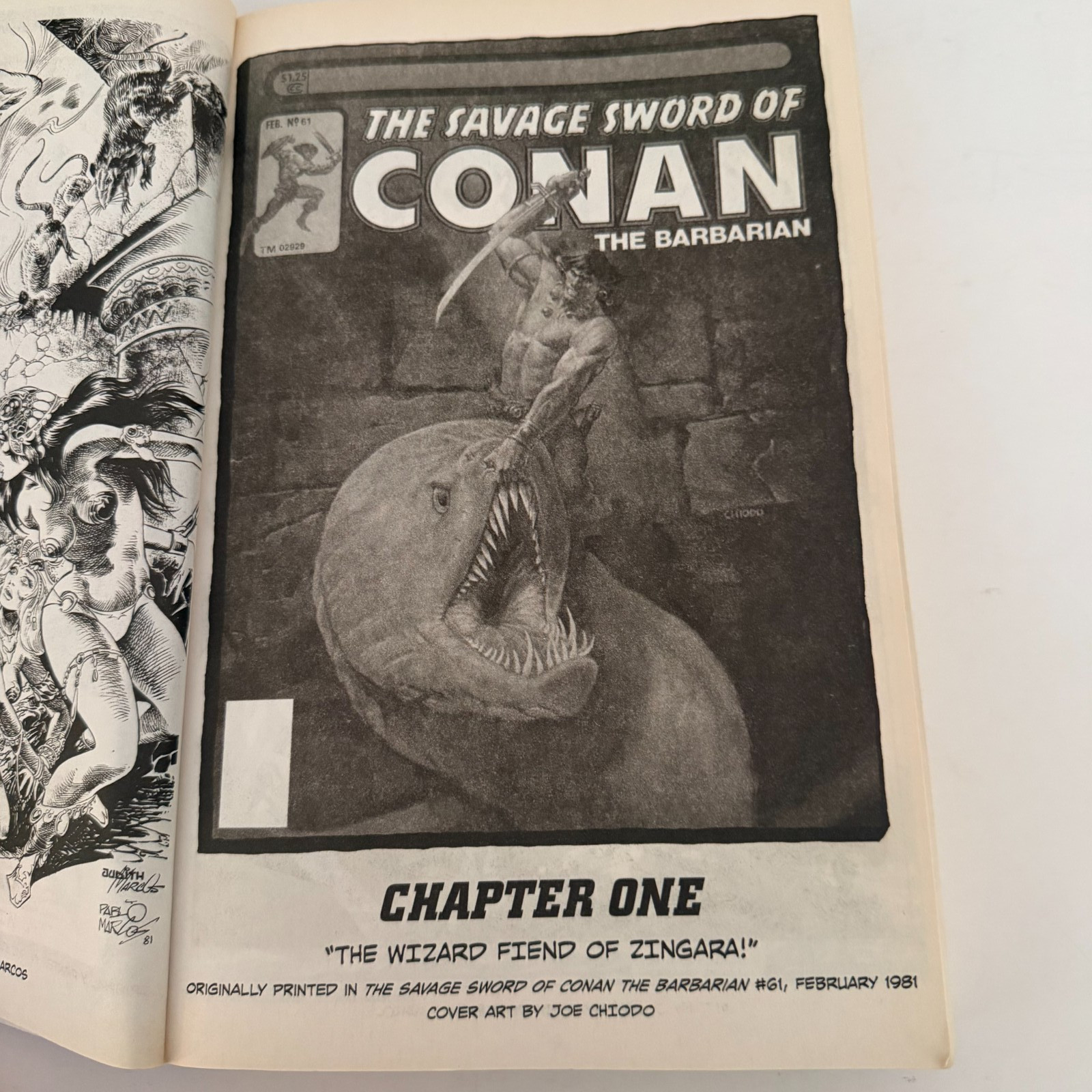 The Savage Sword of Conan Volume 6 Paperback 2009 Dark Horse First Edition