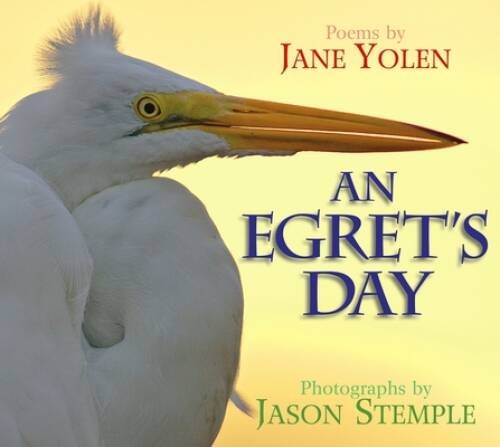An Egret&rsquo;s Day – Hardcover By Yolen, Jane – GOOD