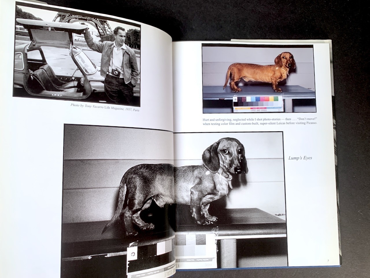 PICASSO & LUMP: A Dachshund&rsquo;s Odyssey – David Douglas Duncan – HC/First Edition