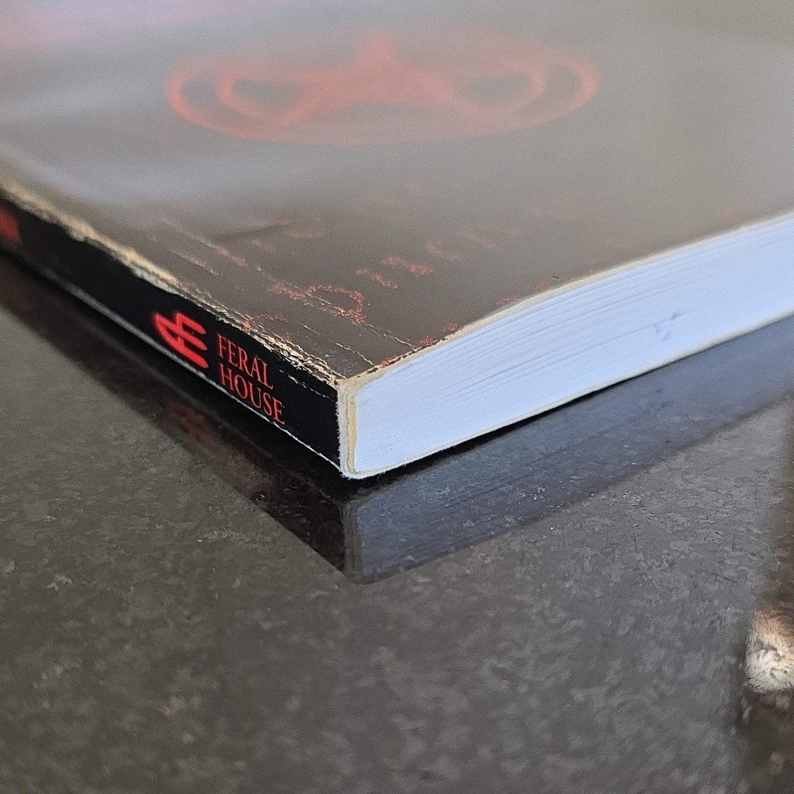 Anton Szandor LaVey – The Devil&rsquo;s Notebook – Feral House – 1992 Paperback