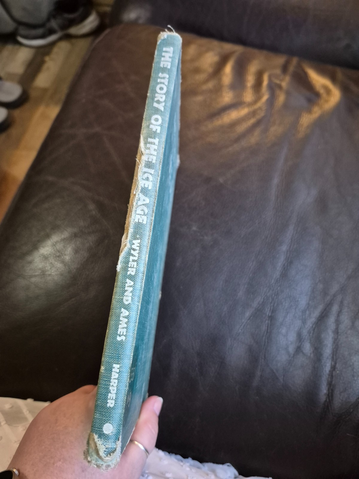 The Story of the Ice Age by Rose Wyler and Gerald Ames