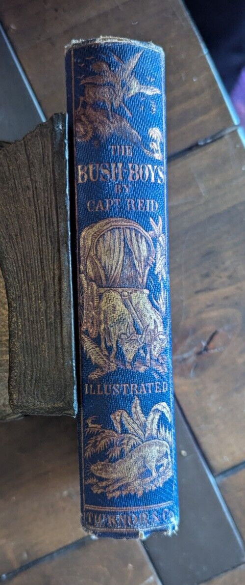 Antique 1800s Vintage 1900s Holiday Children&rsquo;s Fiction & NONFICTION