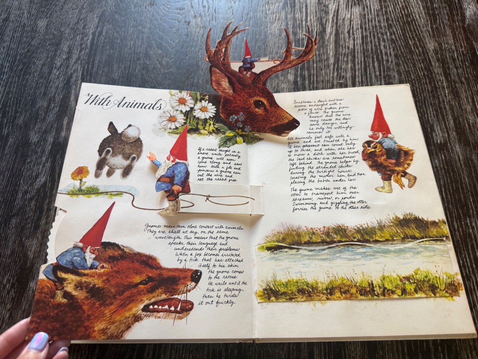 The Pop-Up Book of Gnomes illustrated by Rien Poortvliet