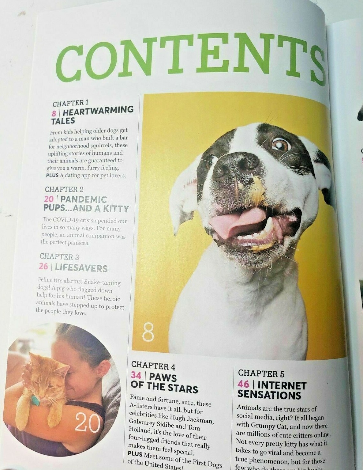 AMAZING PETS HEARTWARMING TALES -Adorable Dogs Cute Cats & More – Heroic Animals