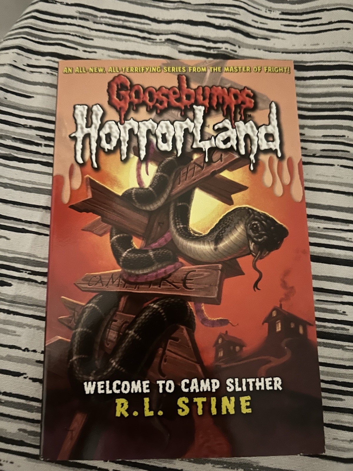 Goosebumps HorrorLand by R.L. Stine Paperback – 10pc Full set – Collector&rsquo; item