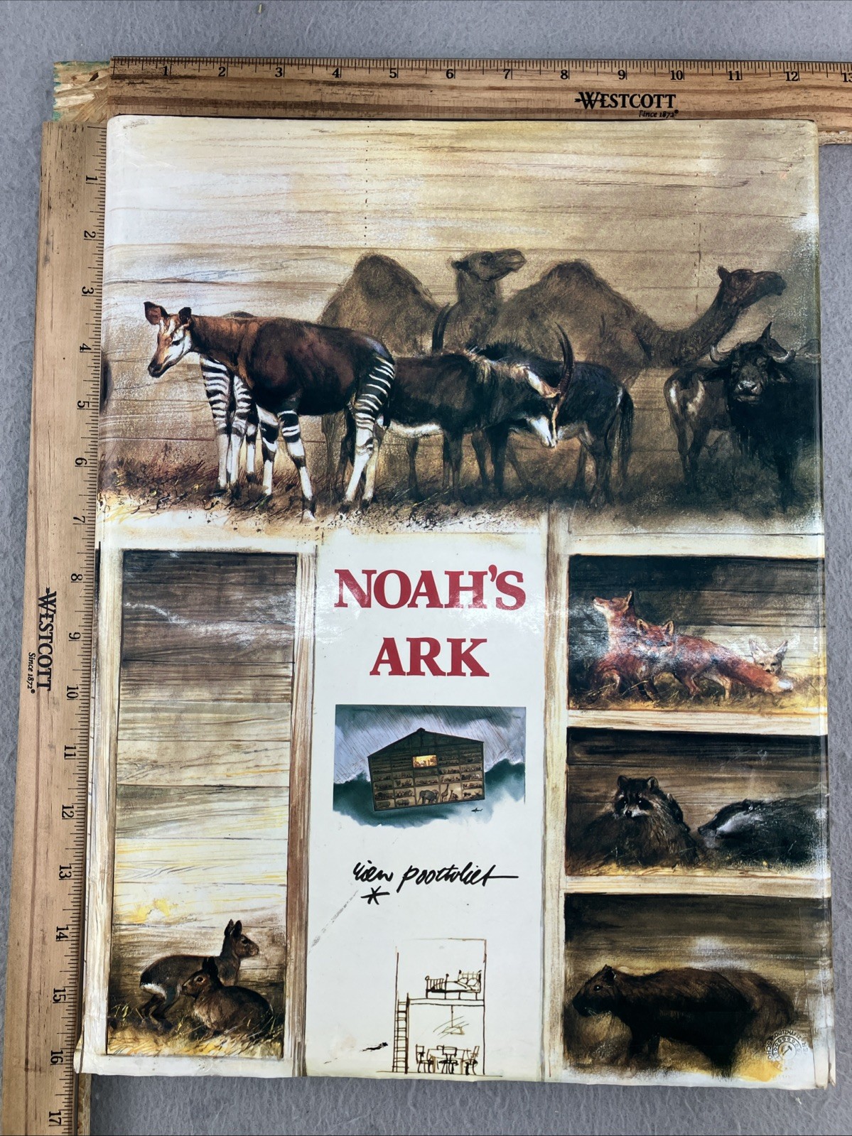 NOAH&rsquo;S ARK English Edition by Rien Poortvliet Illustrated Oversized HC/DJ