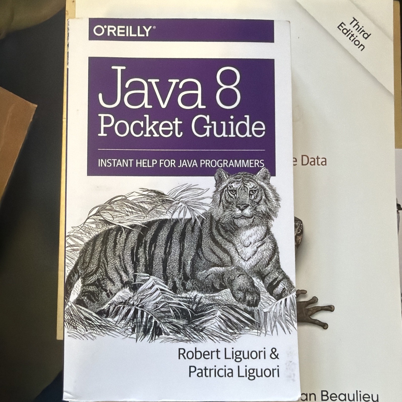 O&rsquo;Reilly Lot Of 13 Programming & CompSci Books Python SQL Java C Deep Learning