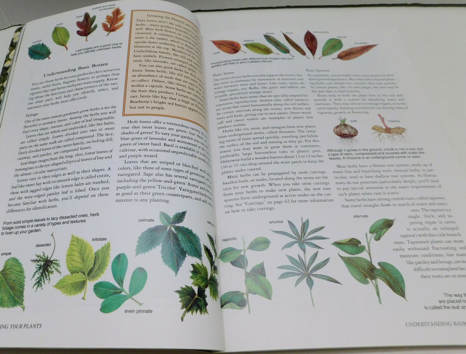 Rodale&rsquo;s Successful Organic Gardening: Herbs 300 color photos 50 illustratration