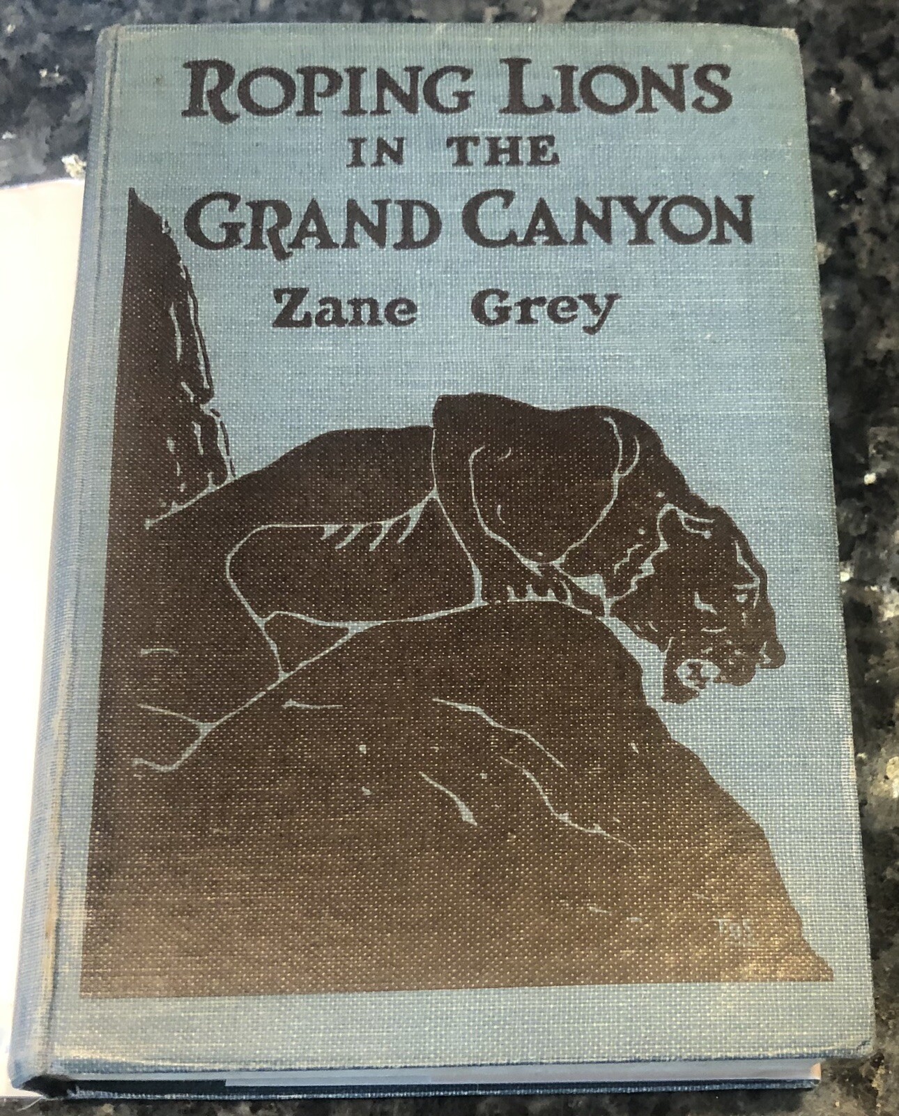 ROPING LIONS in Grand Canyon/Zane Grey, 1st Grosset edition, adventure, 12 illus