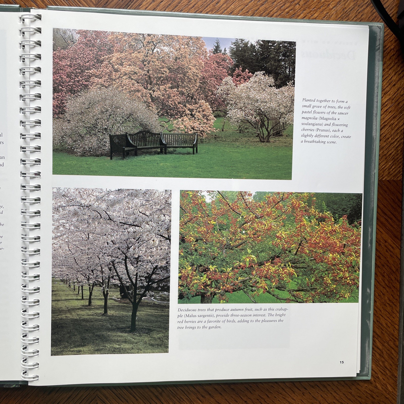 BH&G Trees & Shrubs Hardbound Spiral Gardening Book Catriona Tudor Erler 1995