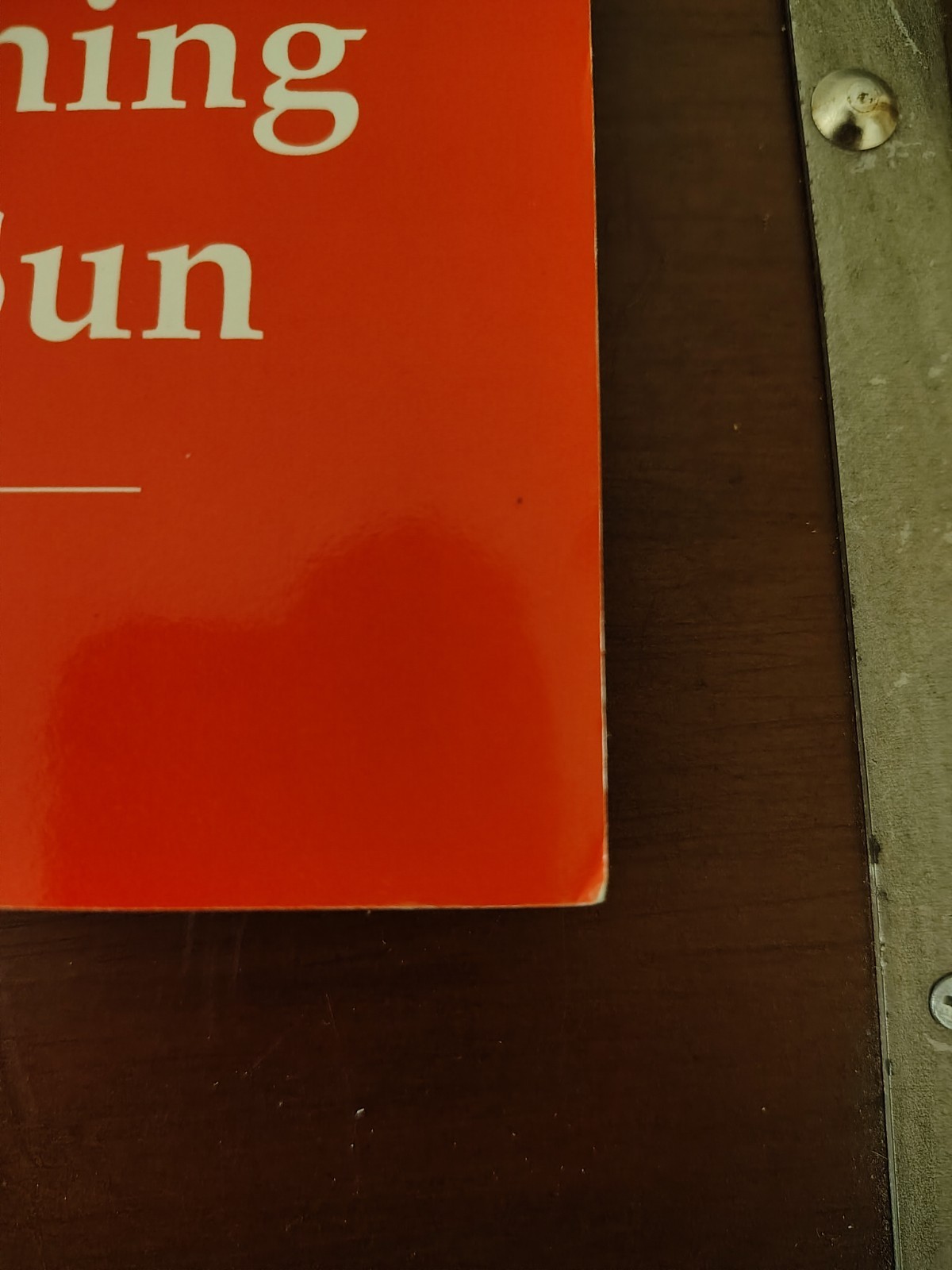 RARE OUT OF PRINT The Lightning And The Sun, Savitri Devi, National Vanguard
