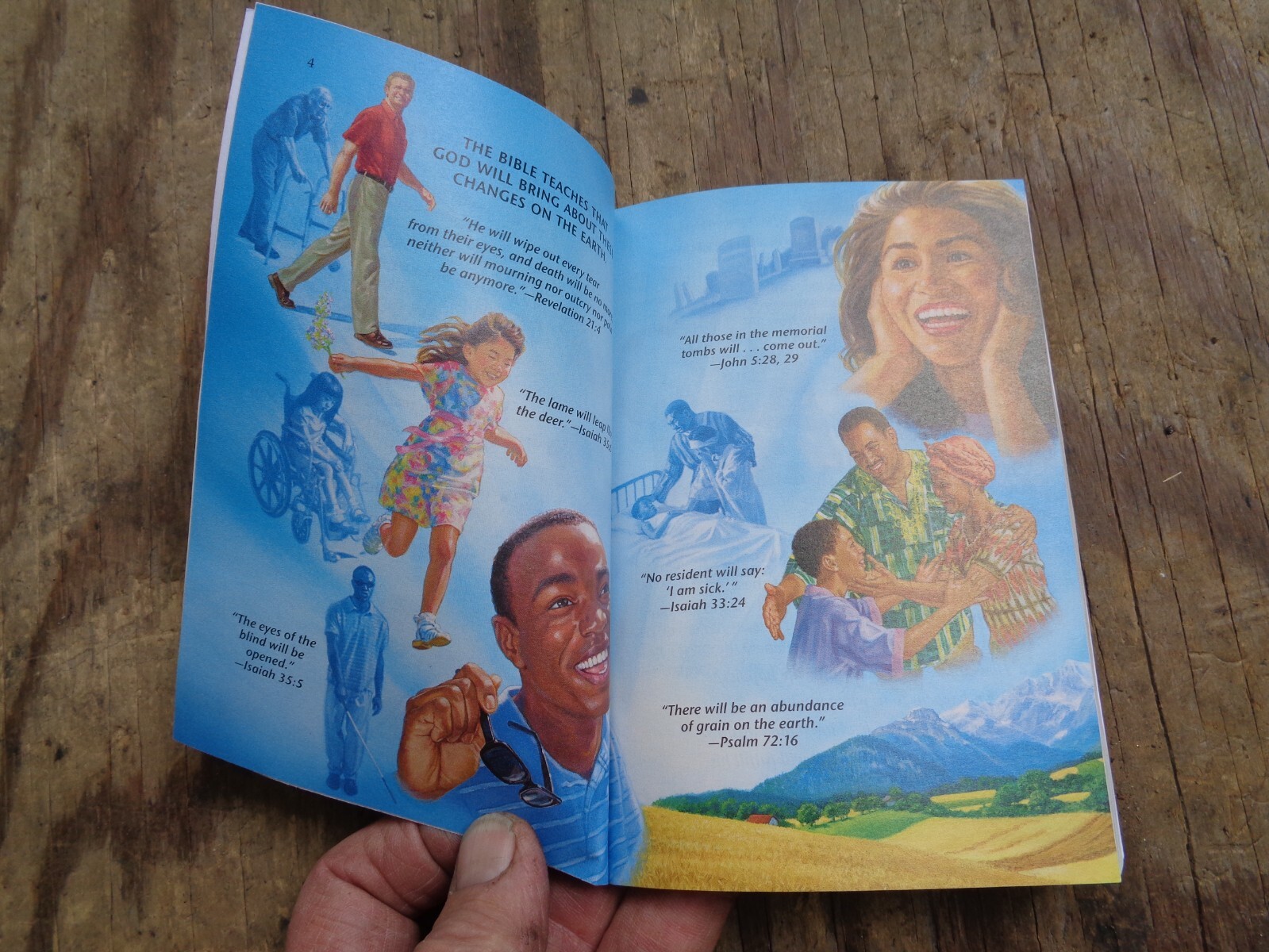 « WHAT DOES THE BIBLE REALLY TEACH? ». 2016. 223 pages. Paperback. Watchtower