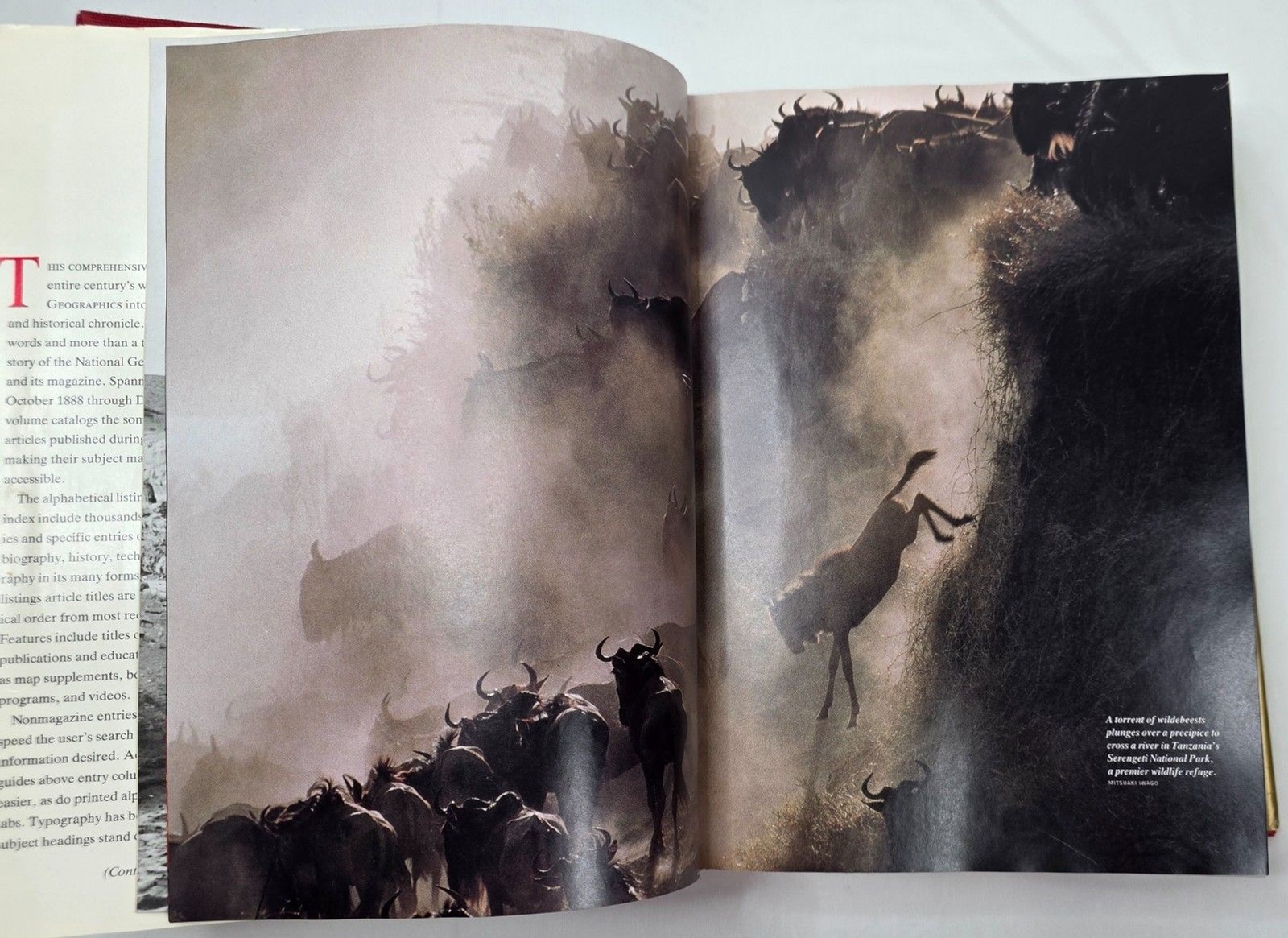 National Geographic Index 1888-1988 One Hundred Years Hardcover 1989 Dust Jacket
