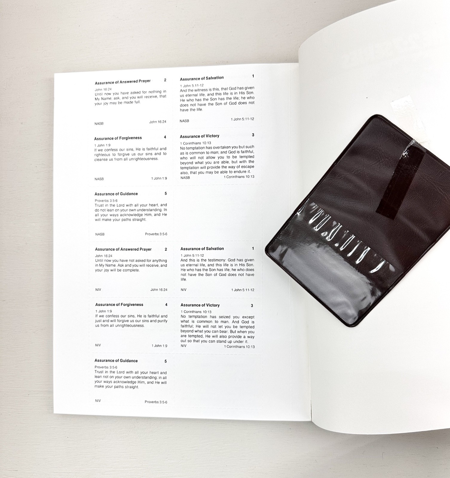 Growing Strong in God&rsquo;S Family: Rooted and Built up in Him -The 2:7 Series 2 LOT
