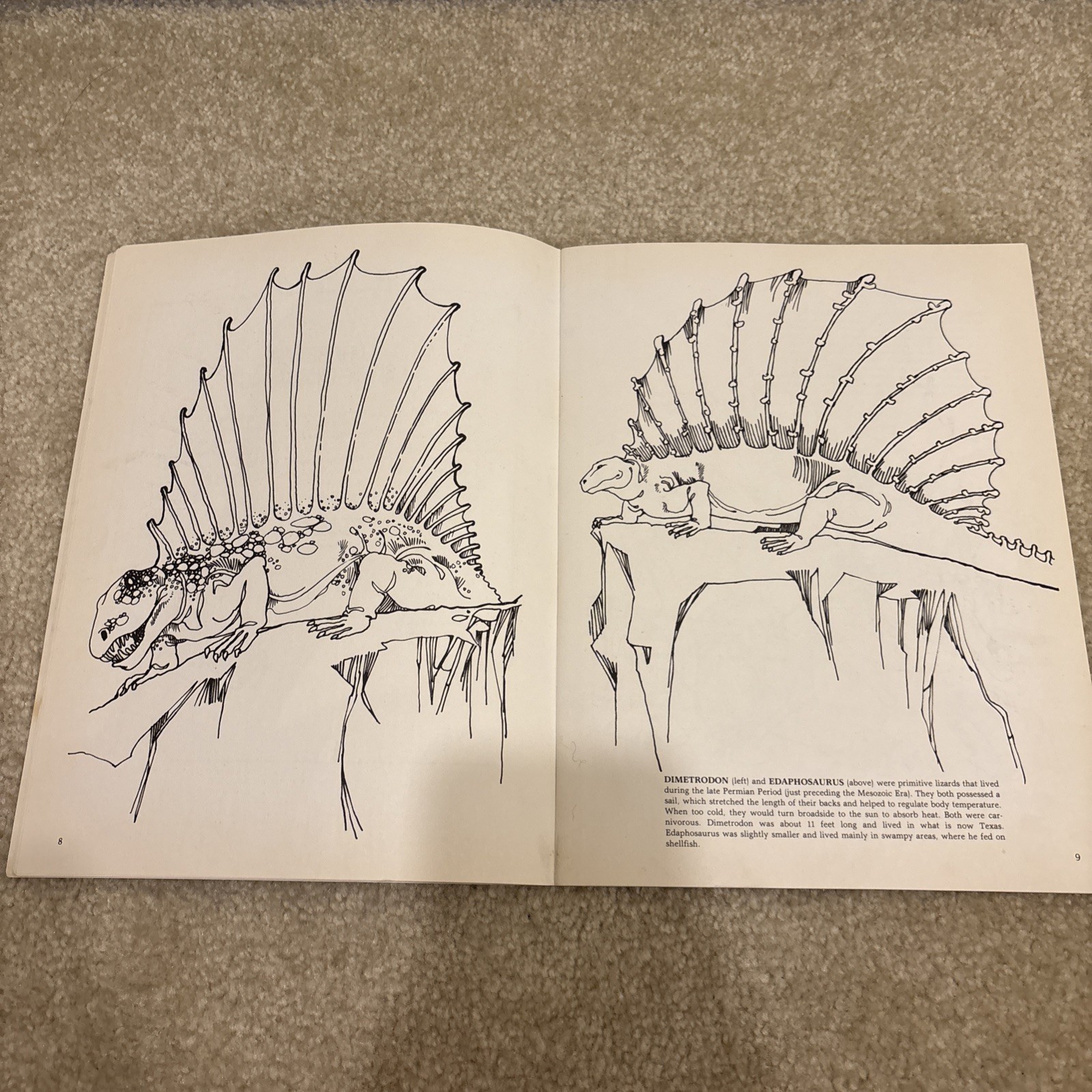 The Dinosaur Dover Coloring Book Paperback Anthony Rao Vintage 1980