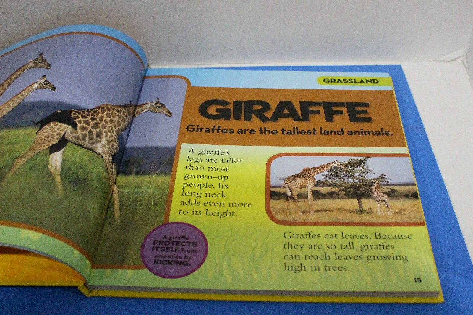National Geographic Little Kids First Big Book of Animals by Catherine Hughes