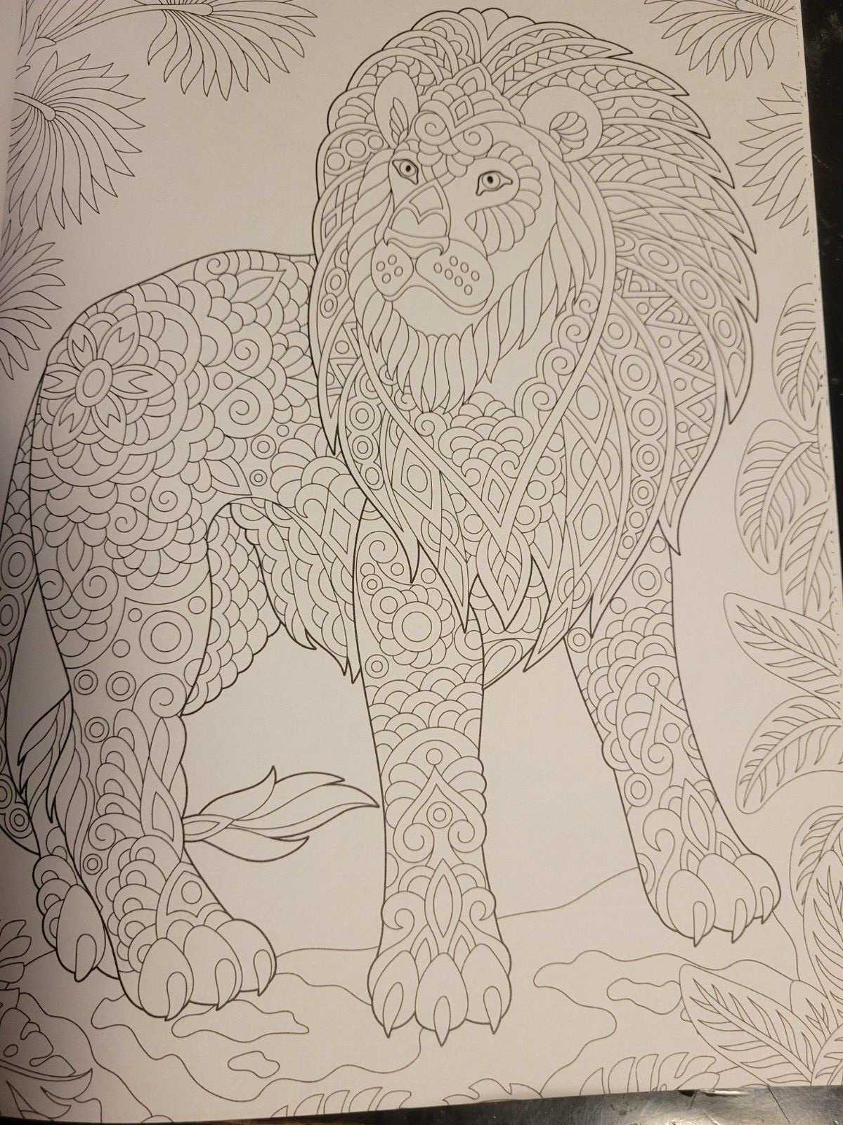 MAJESTIC CREATURES Vol 13 Adult Coloring Book With 47 Prints Ready To Frame