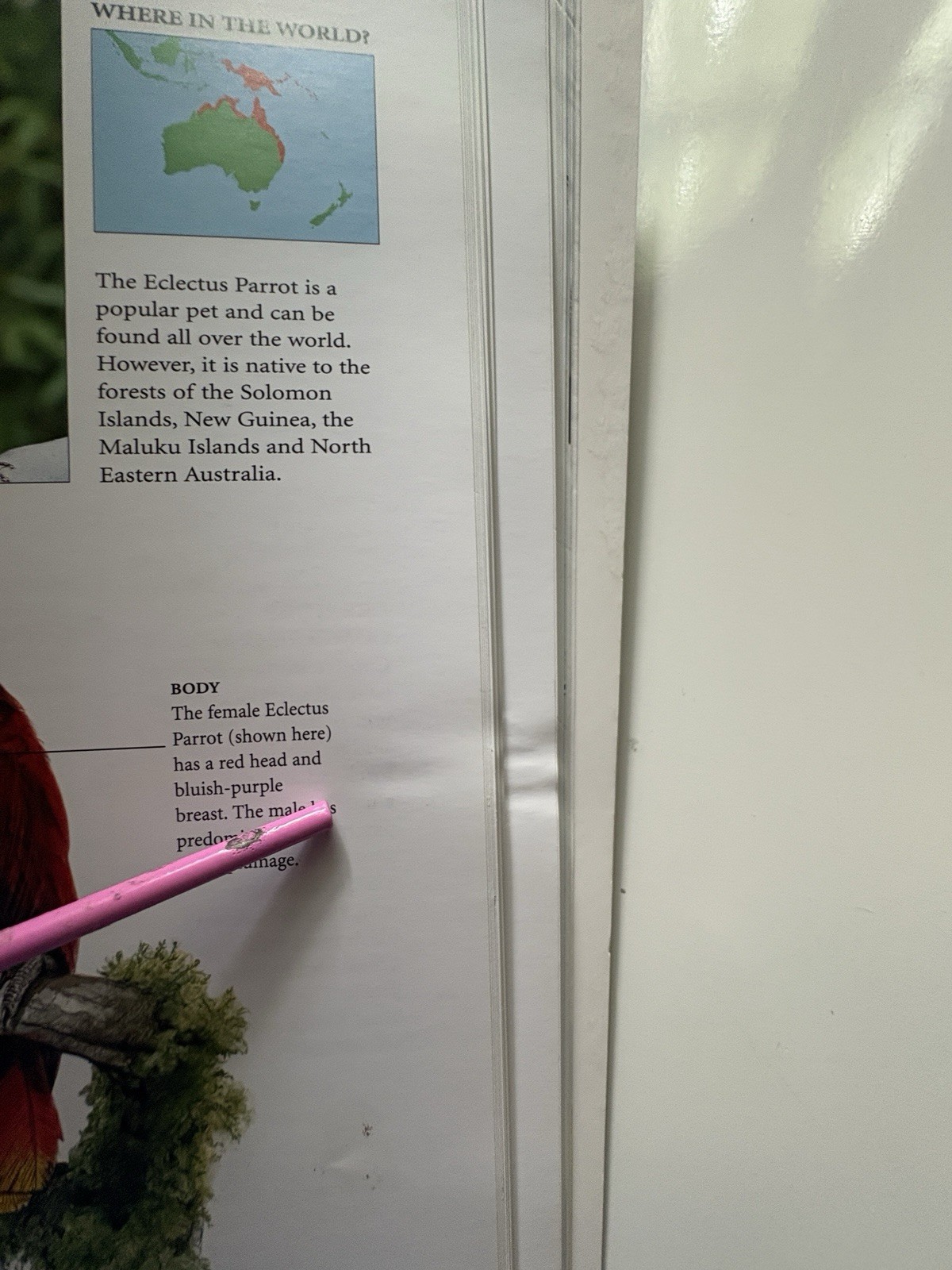 Encyclopedia of Birds: 400 Species from Around the World 448 Pages 9&Prime;x12&Prime;