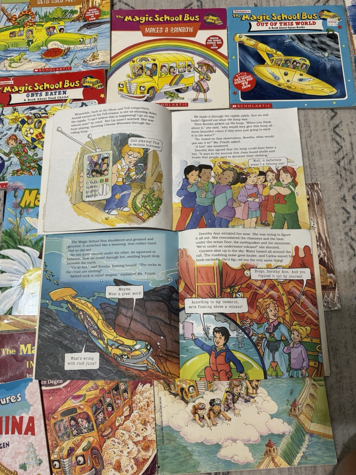 Magic School Bus Book Lot 18 Joanna Cole Scholastic