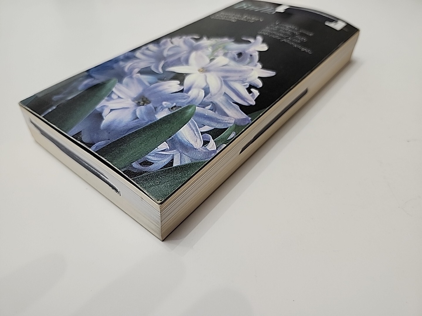 Taylor&rsquo;s Guide to Bulbs (Taylor&rsquo;s Guides to Gardening) by , Good Book