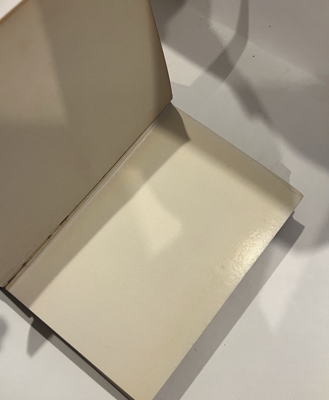 Idle Days in Patagonia W.H. Hudson 1917 hardcover book