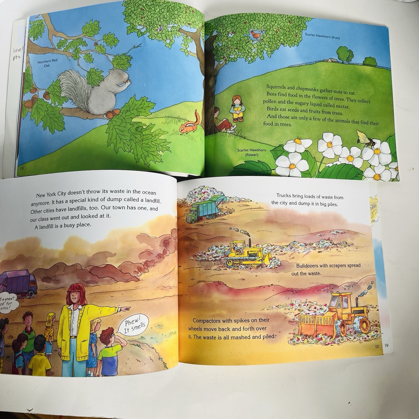 Lets Read and Find Out Science Book Lot 12 Hamburger Skeleton Planets Dinosaur P