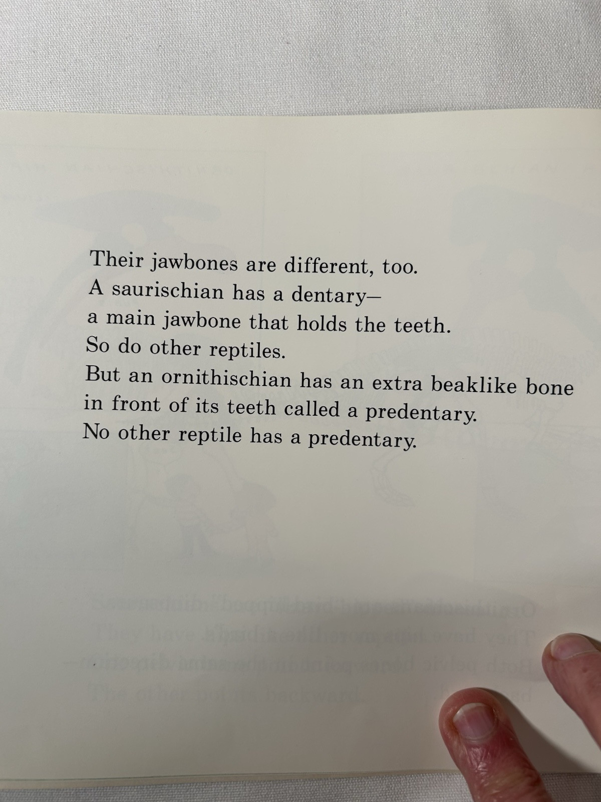 Dinosaurs Are Different Book and Tape (Let&rsquo;s-Read-and-Find-Out Book). 1985