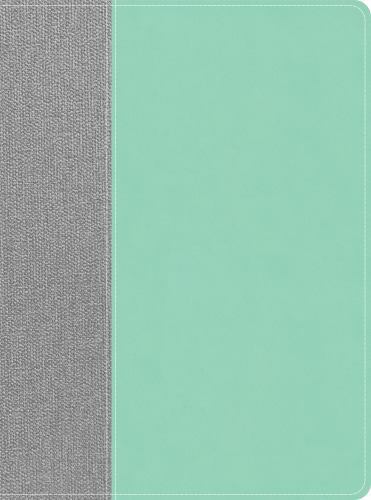 CSB Lifeway Women&rsquo;s Bible, Gray/Mint LeatherTouch, Indexed – Lifeway Women