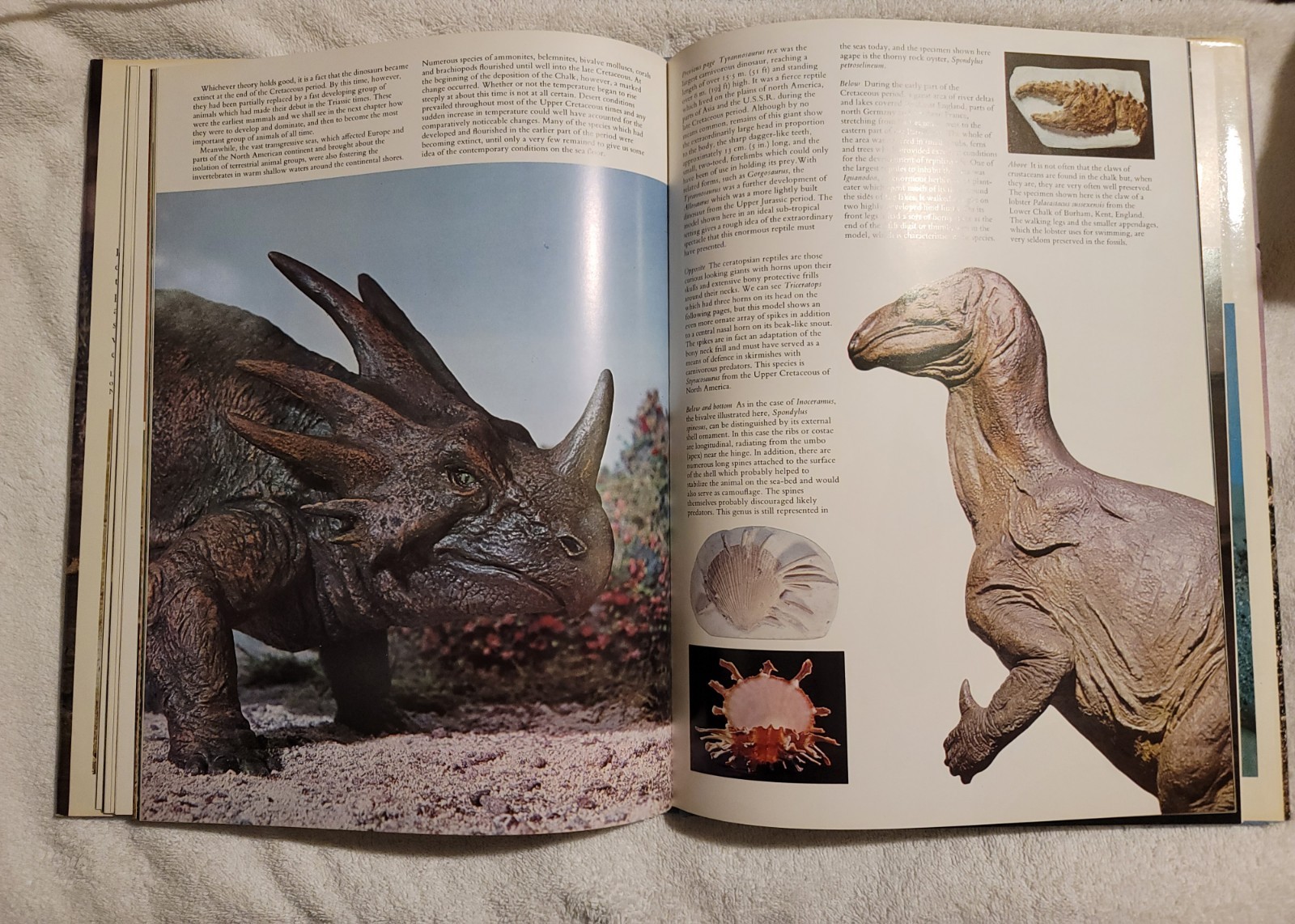 Prehistoric Animals The Extraordinary Story Of Life Before Man – Ellis Owen 1975