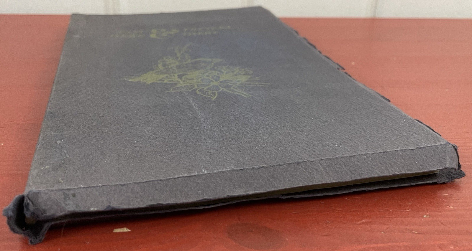 Past & Present, Here & There by Otillie G. Boetzkes PB VTG Poetry Nature 1966