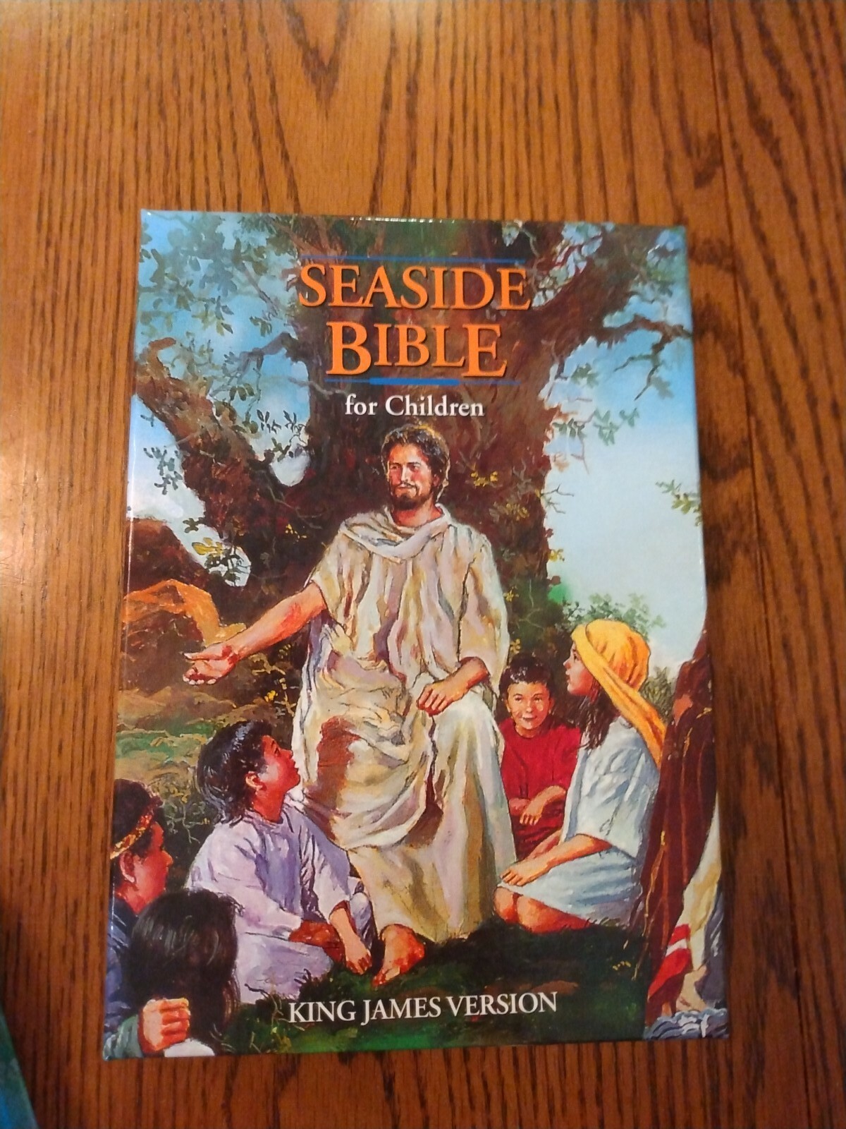 Children&rsquo;s Bible KJV Seaside Bible Illustrated Nelson Hardcover blue edge