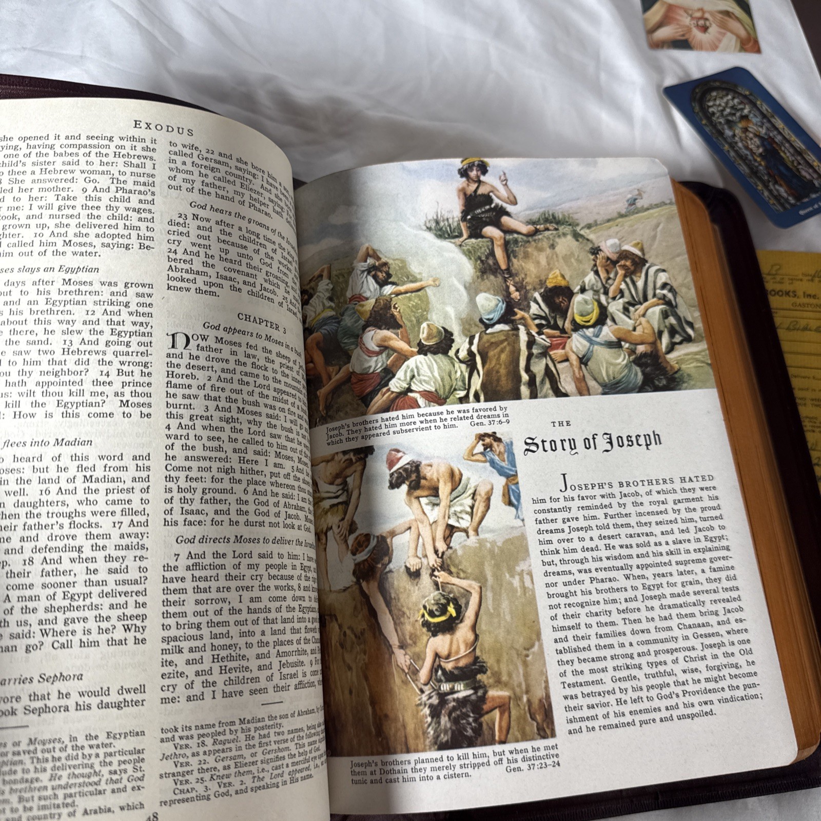 The Catholic Press Family Edition of the Holy Bible 1950s by John P O’Connell 3G