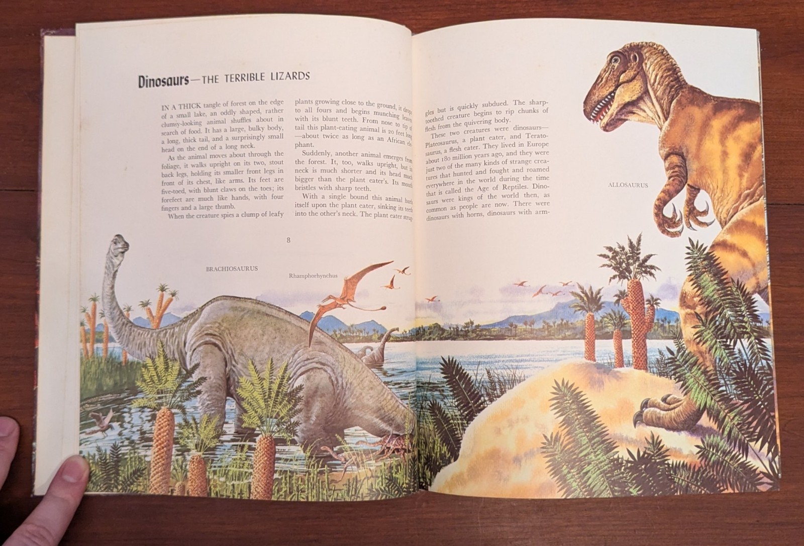 Album Of Dinosaurs Vintage Children&rsquo;s Hardcover Tom McGowen Rand McNally 1976