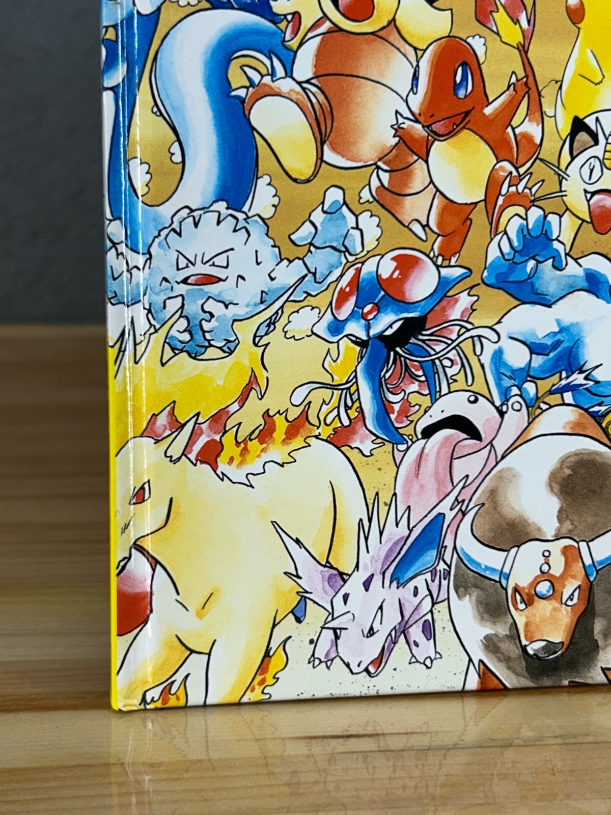 Let&rsquo;s Find Pokémon! Special Complete Edition Hardcover