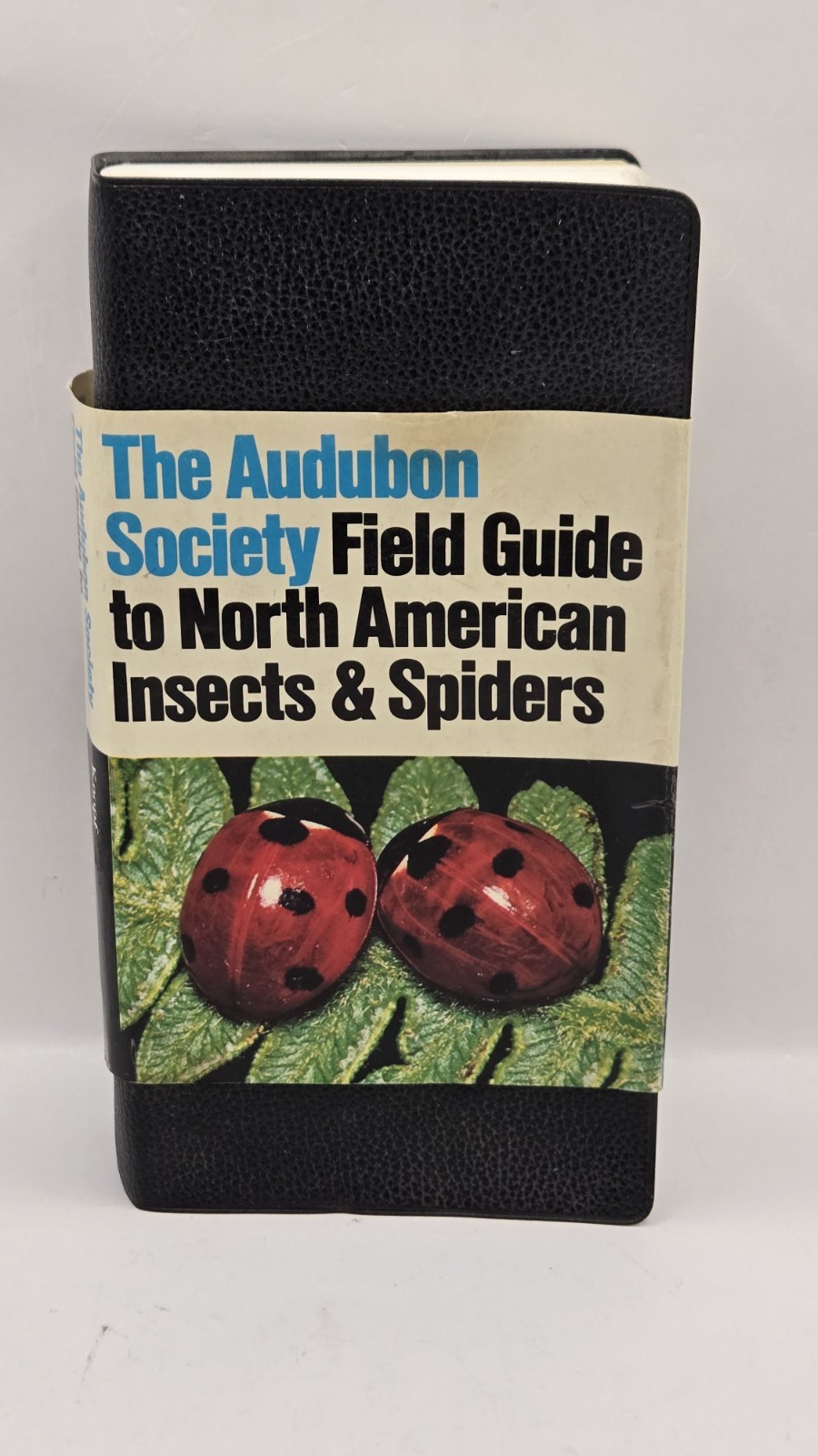 Lot Of 5 National Audubon Society Field Guide Butterflies Reptiles Fish Insects