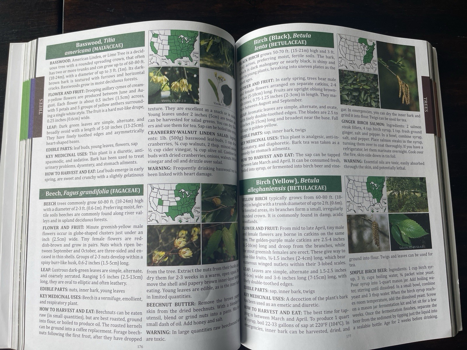The Forager&rsquo;s Guide to Wild Foods North American Edition by Nicole Apelian