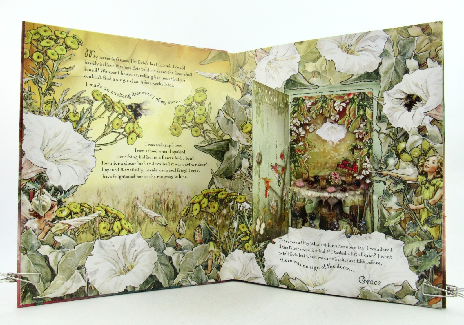 Lot 4 FAIRYOPOLIS Books Journal, Return, Magical Doors & Secret Garden HB VGC